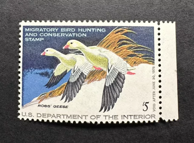 WTDstamps - #RW44 1977 - US Federal Duck Stamp - Mint OG NH