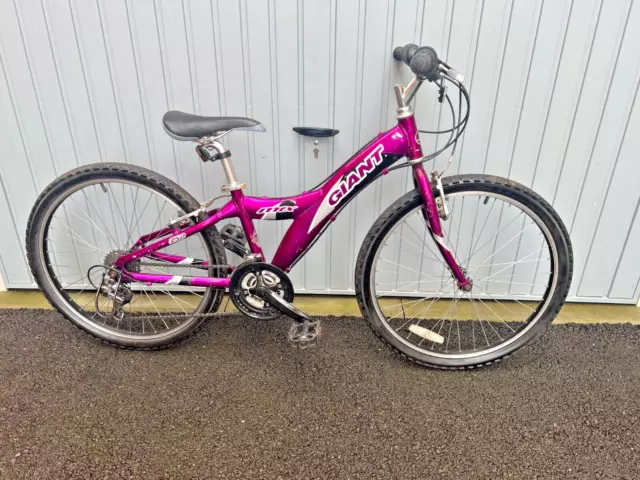 Mtx 250 2025 bike