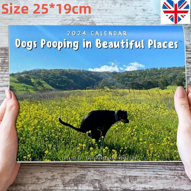 2024 DOGS POOPING in Beautiful Places Wall Calendar Monthly Dog Poop
