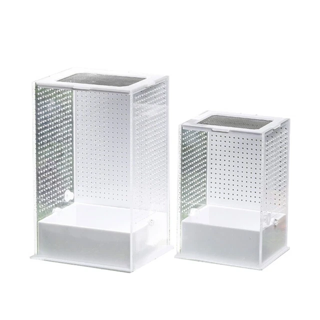 Clear Feeding Box Hatching Container with Lid Scorpion- Geckos Supplies