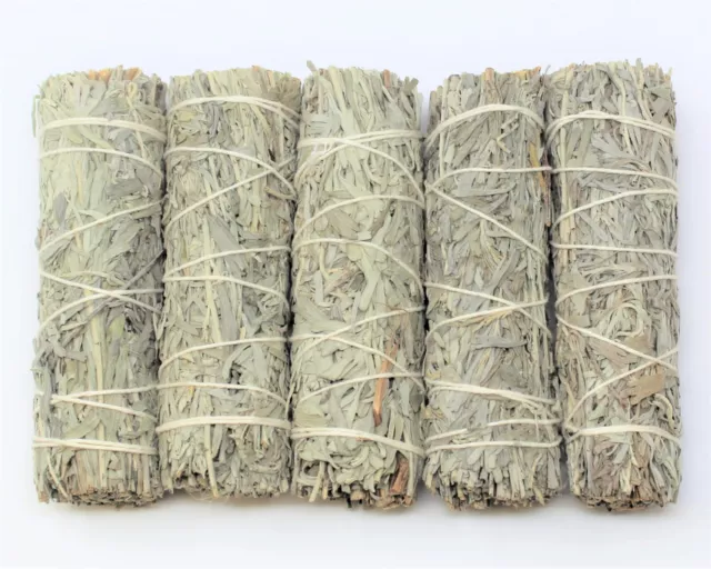 Blue Sage Smudge Stick: 5 Wand Pack! (Herb, House Cleansing Negativity Removal)