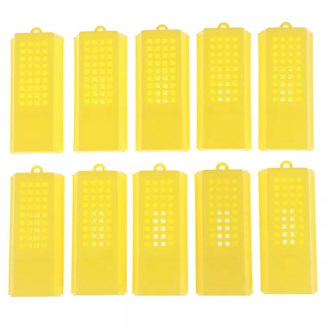 10Pcs Professional Queen Bee Cage Catcher Plastic Beekeeping Travelling But-xd 2