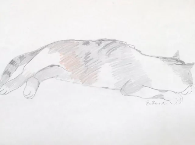 Eva ZIOLKOWSKI, aus meinem Skizzenbuch - Katze II - Zeichnung