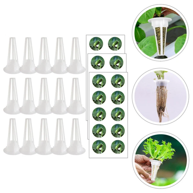 RAPID ROOTER STARTER Plugs Soilless Planting Basket Flowers £13.38 ...
