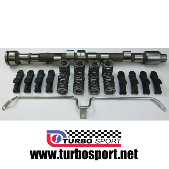 Ford Pinto camshaft HT1 profile race Cam kit from new cam blank