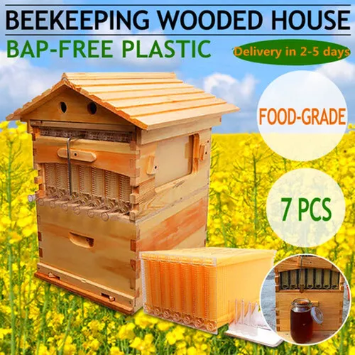 Fir Wood Auto Bee Hive Boxes Bee Hives House +7pcs Bee Frame Beekeeping Frame US