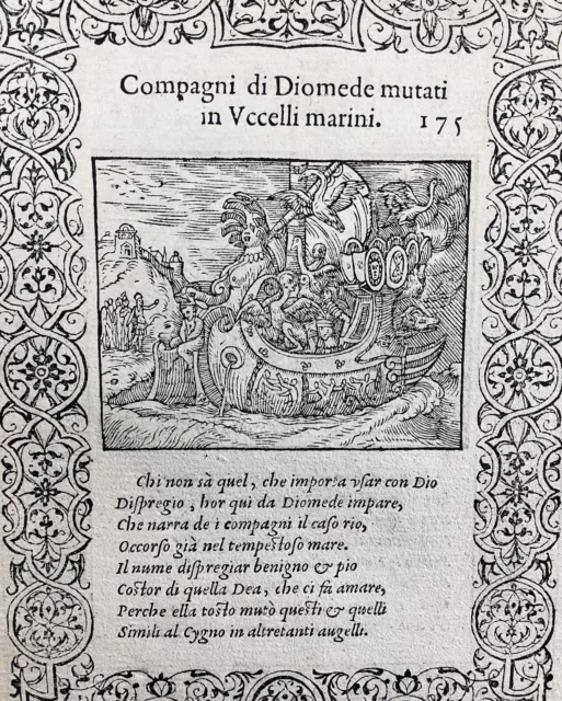 1559 Drakkar Gravure Diomède Oiseaux marins Ornithologie Métamorphoses Ovide
