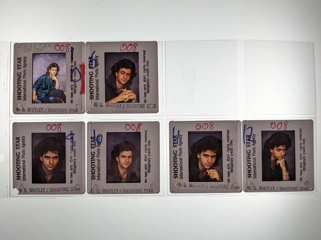 Dw4-450 Dweezil Zappa Lot (6) 35Mm Orig Slide Via Dianna Whitley