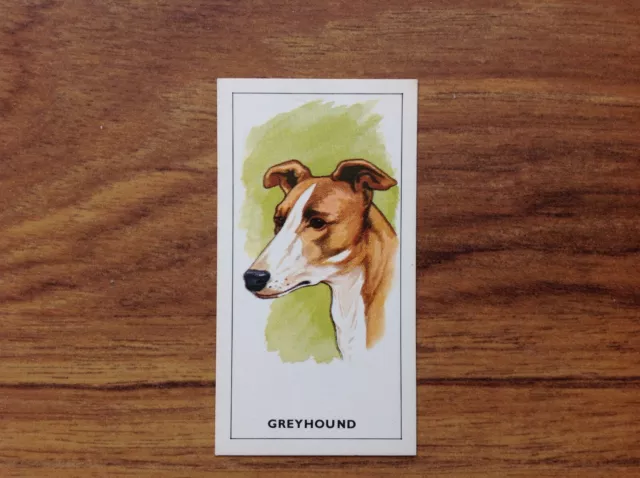 GP Tea Dogs Heads Greyhound  Card . Free UK Postage