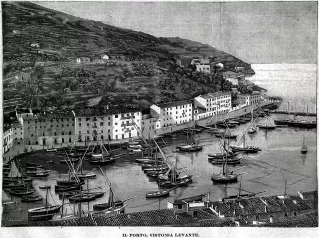 Porto Santo Stefano: panorama. Grande veduta. Stampa antica + passepartout. 1901