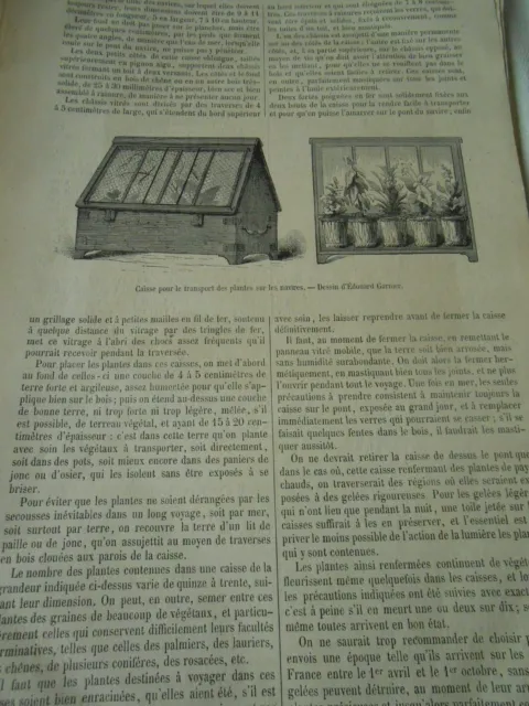 Caisse pour le transport des plantes sur les navires Gravure Antique Print 1877