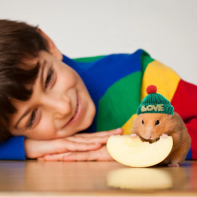 3 piezas adornos de sombrero para mascotas accesorios para animales hámster