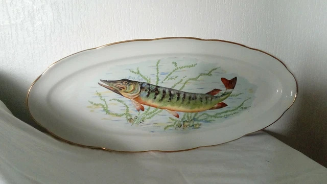 GRAND PLAT à poisson en porcelaine de Sologne 54,5 cm EUR 35,00 - FR GRAND PLAT à poisson en porcelaine de Sologne 54,5 cm EUR 35,00 - FR