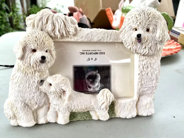 Bichon Frise Puppy Dog Realistic 3D Picture 4 By 6 Photo Frame