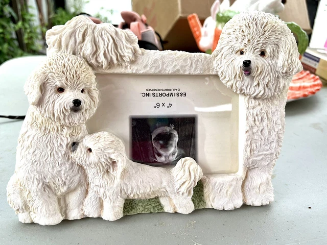 Bichon Frise Puppy Dog Realistic 3D Picture 4 By 6 Photo Frame