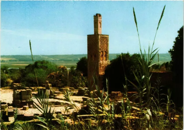 CPM AK Rabat- Le Chellah MAROC (880723)