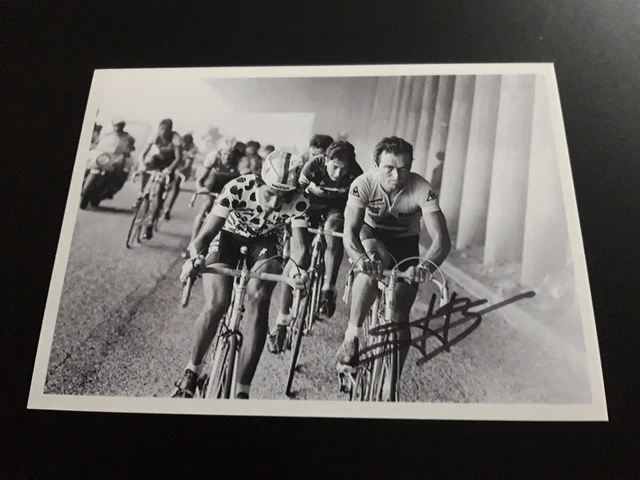 Bernard Hnault avant le Tour de France : Tadej Pogacar m'a redonné