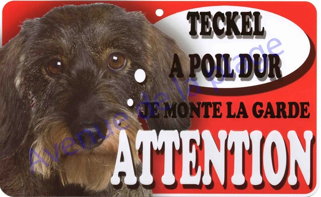 Plaque Attention au chien Teckel Panneau (pelage poils longs marron)
