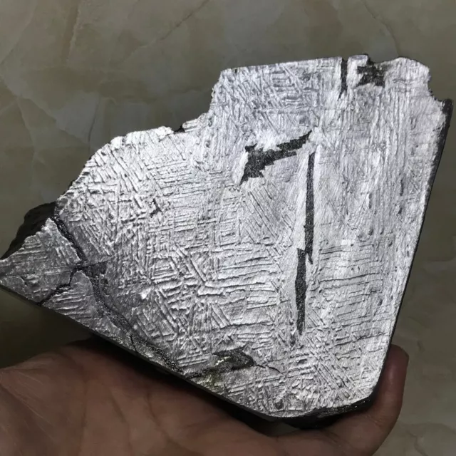 Natural Aletai Iron Meteorite 1907 Grams End-Cut Etched Fusion Crust Sealed Glaz