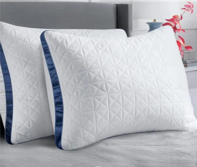https://www.picclickimg.com/DrAAAOSwZntljZTo/Pillows-Standard-Size-Set-of-2-Cooling-Hotel.webp