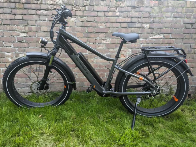 Radrhino 750 sales
