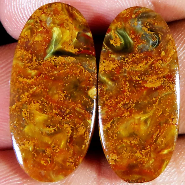 Naturel Doré Pietersite Paire Ovale Cabochon 24.60 CT 11x24x3 MM Gemme