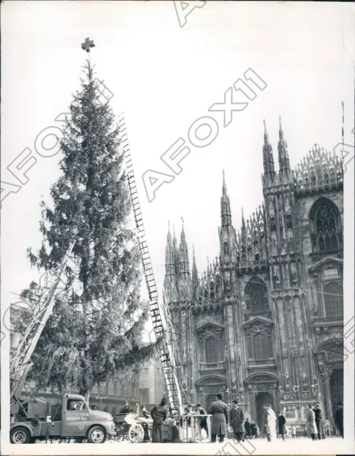 1958 Milan Italy 80 Foot Pine Christmas Tree Gift from Savoy France Press Photo