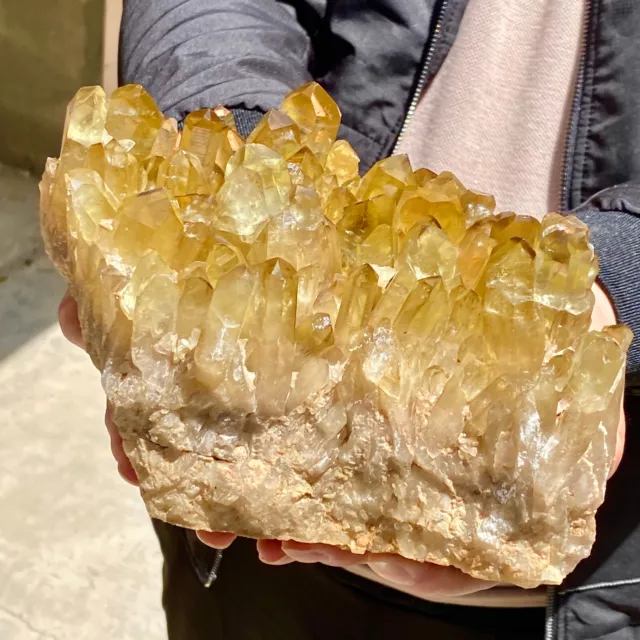 8.179LG New Find Yellow Phantom Quartz Crystal Cluster Mineral Specimen Healing