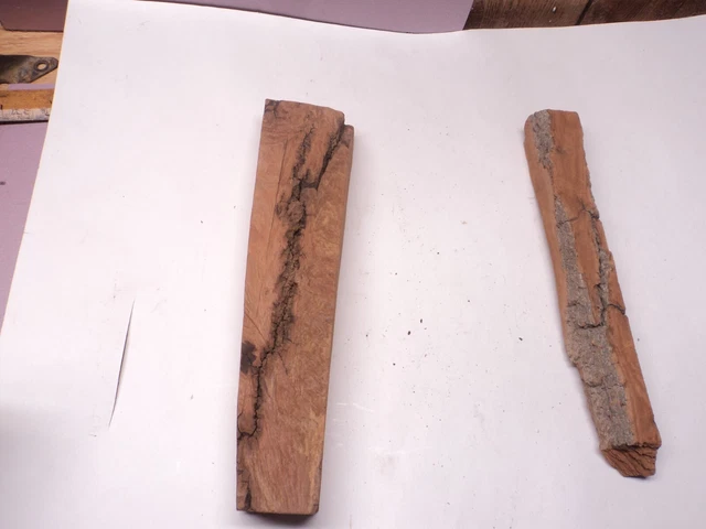 Buena Calidad Iowa Cottonwood Reducción Madera Corteza #3 2 Piezas