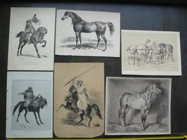 Affiches anciennes chevaux XIXème siècle