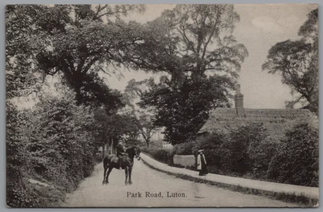 Luton Park Road Bedfordshire England Vintage Unposted Boots Pelham Postcard