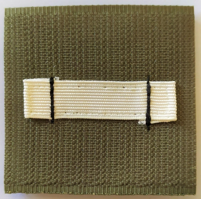 ECUSSON/GALON DE POITRINE velcro légion étrangère cavalerie grade