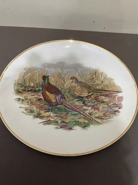 Liverpool road pottery retro pheasant plate oval 13  inch x 11 inch  A342