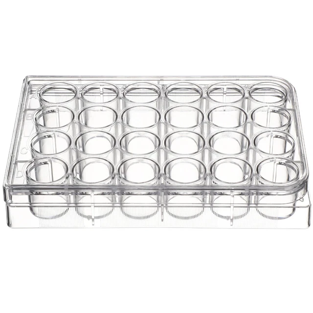 30 Boîtes De Petri En Polystyrène Pour Culture - Diamètres 3.5/6/9 Cm, Neuves