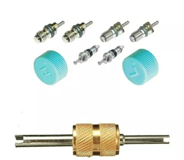 AC System Valve Core and Cap + Schrader Recover Kit MT2913