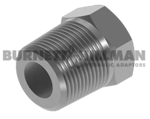 Burnett & Hillman Bspt 2.5cm Mâle X Bsp 0.6cm Fixé Femelle Bush Adaptateur 16126