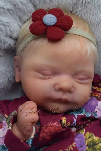 *Pbn* Yvonne Etheridge Reborn Baby Girl Doll Sculpt Lucas By Cassie Brace 0224