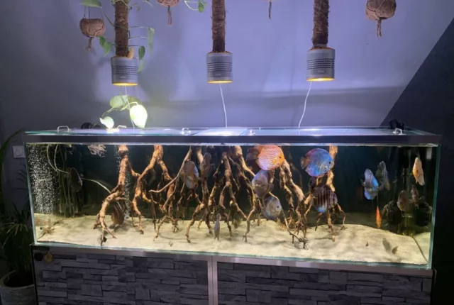Acheter Éclairage LED pour Aquarium 18-74cm, plante aquatique