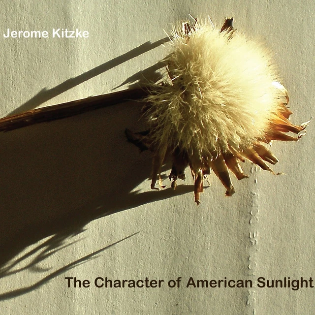 JEROME KITZKE CHARACTER of American Sunlight (CD) EUR 22,29 - PicClick FR