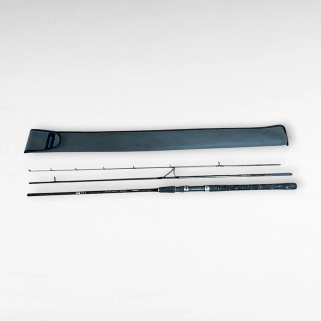 SALT WATER CASTING ROD ゲームAR-C806