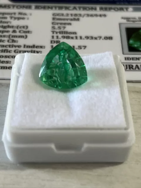 5.57Ct Smeraldo Certificato Ggl