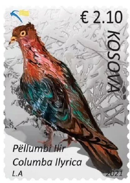 Kosovo Stamps 2021. Fauna: Illyrian pigeon (Columba Ilyrica). Set MNH