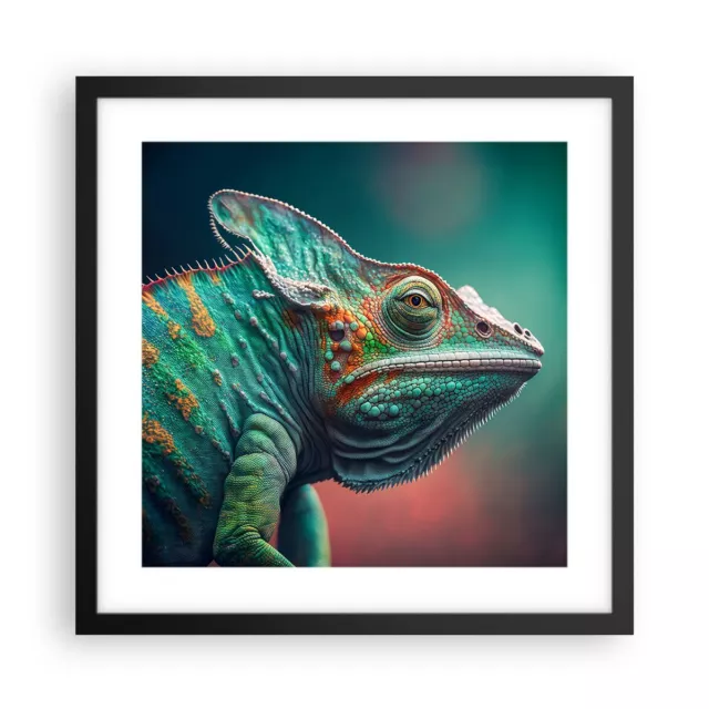 Affiche Poster 40x40cm Tableaux Image Photo Cam�l�on Animaux Reptile Wall Art