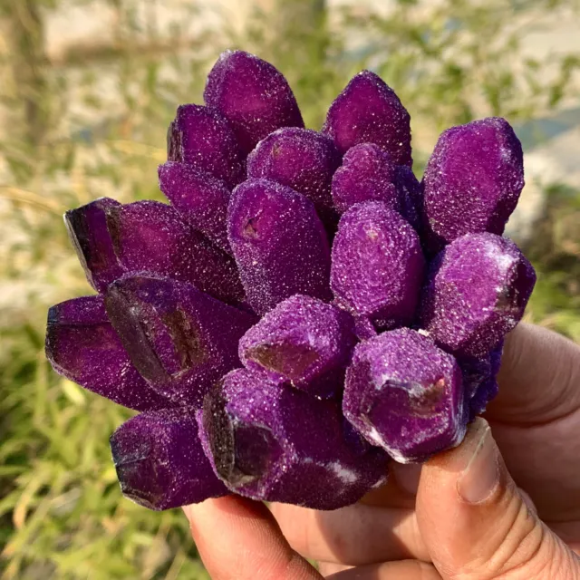 407G New Find purpl Phantom Quartz Crystal Cluster Mineral Specimen Healing