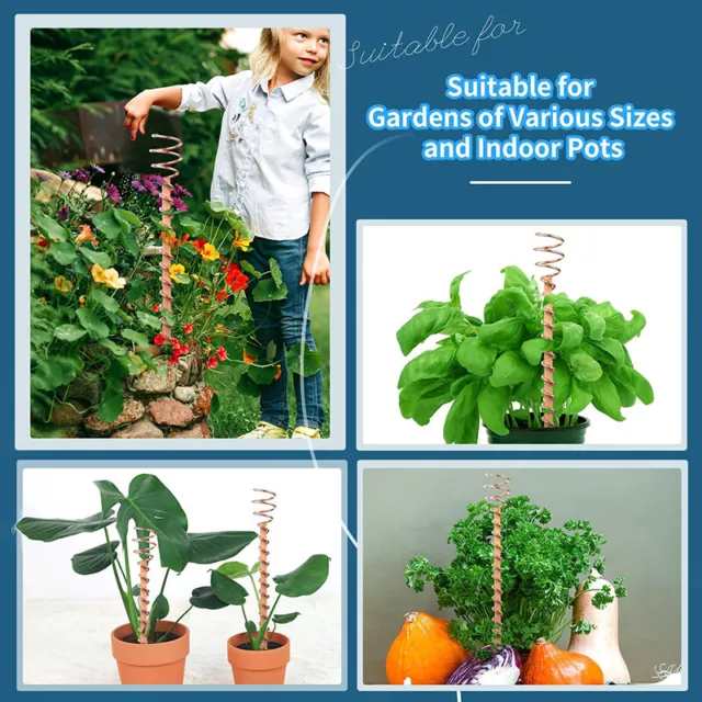 Elektrokulturpflanze Stakes Gartenkupfer -Spulenantennen zum Anbau von Pflanzen
