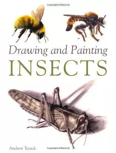 Dessin Et Peinture Insectes Par Tyzack, Andrew, Neuf Livre , Gratuit