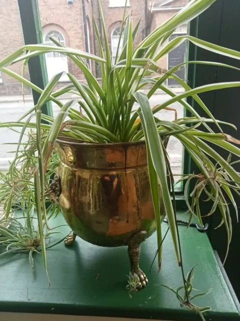 Vintage Brass Planter With Claw Feet And Lion Head Handles