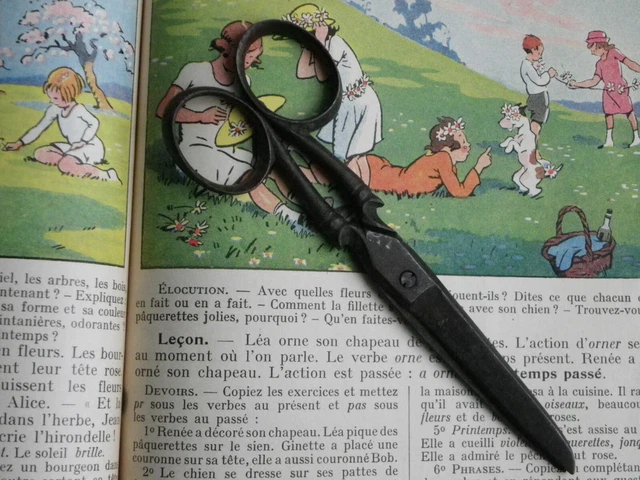 Grands Ciseaux Ciselés D'apparat Avec étui, époque XIXe, Fabrication Française