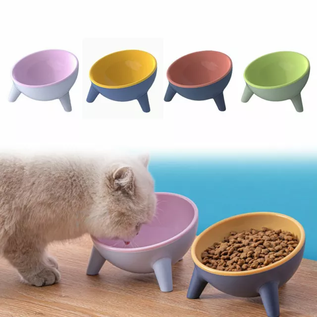 Tilted Cat Bowl Raised Elevated Stand Pet Dog Food Water Bowl Feeder Dish New