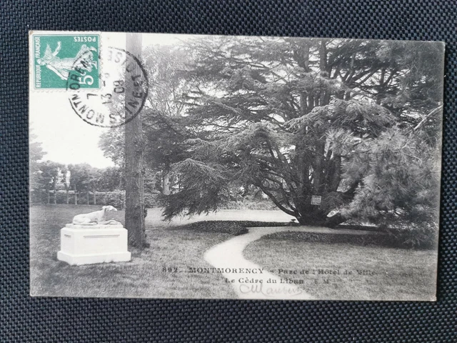 CPA 95 MONTMORENCY - Parc de l'Hôtel de Ville - Le Cèdre du Liban